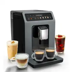 Автоматическая кофемашина KRUPS Evidence Hot & Cold EA898GF0