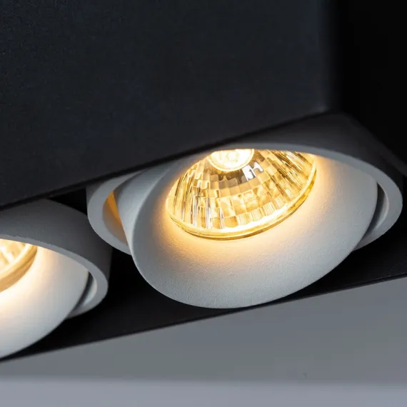 Точечный светильник Pictor A5654PL-2BK Arte Lamp