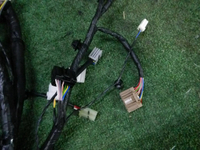 DSCN1780.JPG