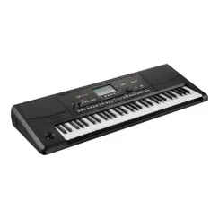 Korg Pa300