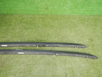 DSCN8459.jpg