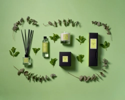 Cereria Molla Ароматическая свеча 230 г Eucalyptus & Mint 5509
