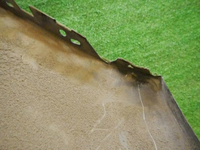 DSCN2659.jpg