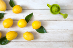 Соковыжималка для лимонов lemoniere