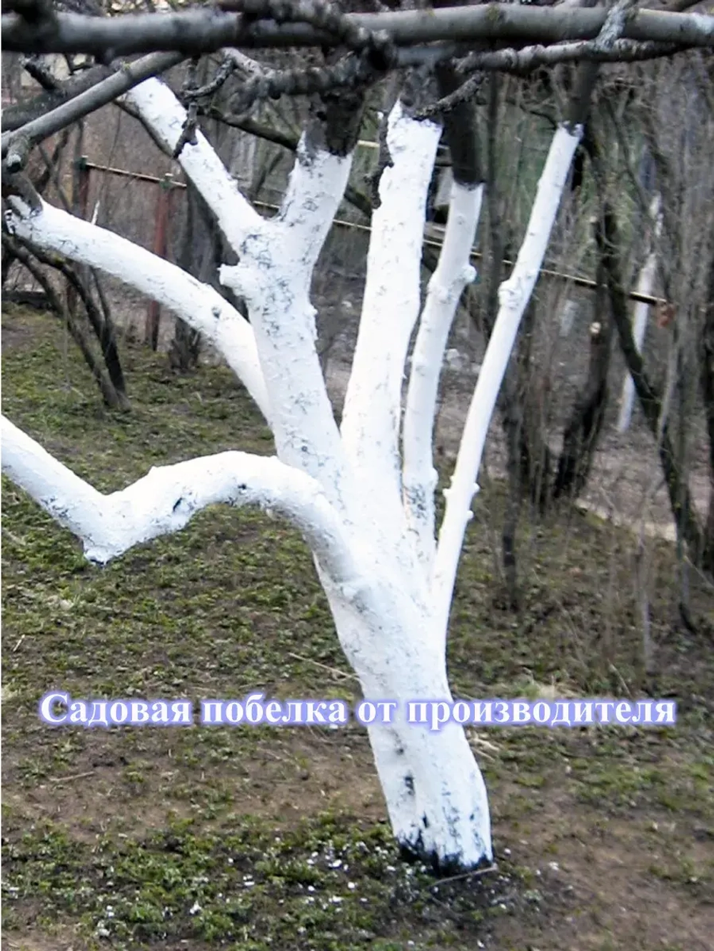 Известь негашеная побелка для деревьев садовая