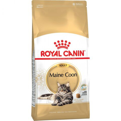 Royal CANIN Maine Coon