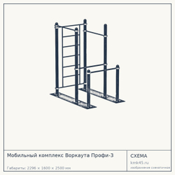 Мобильный комплекс Воркаута Профи-3 — от 100 000 ₽