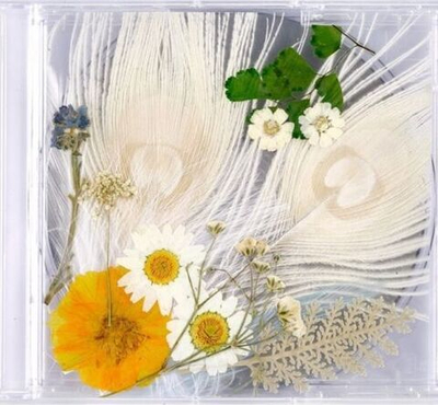 Альбом Bigbang Taeyang - White Night 3rd Album RANDOM Version