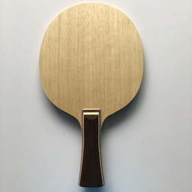 STIGA Fan Zhendong INFINITY VPS V