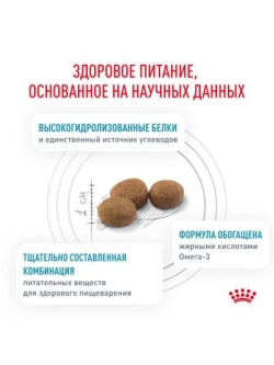 Hypoallergenic DR 21 Canine 2кг Корм для собак