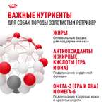 Royal Canin Golden Retriever Голден (золотой) Ретривер Эдалт Корм сухой для взрослых собак породы Голден Ретривер 12кг