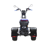 Электроскутер CityCoco Skyboard MyRussia (Маруся) BR60 3000W Trike