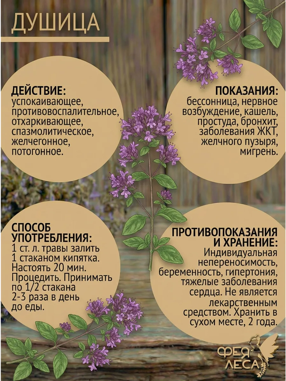 Душица (орегано) соцветия для чая кулинарии и фитосборов.