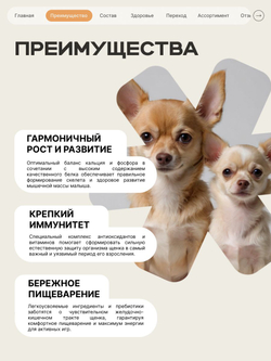 Корм сухой для щенков породы Французский бульдог, с индейкой, 12 кг, QUATTRO