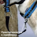 Недоуздок корректор поведения Спорт (Халти) для собак