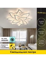 Люстра потолочная светодиодная DF8032/12