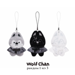 Секретный микро-плюш SKZOO SECRET PLUSH MICRO Ver. – Stray Kids World Tour RUN IT