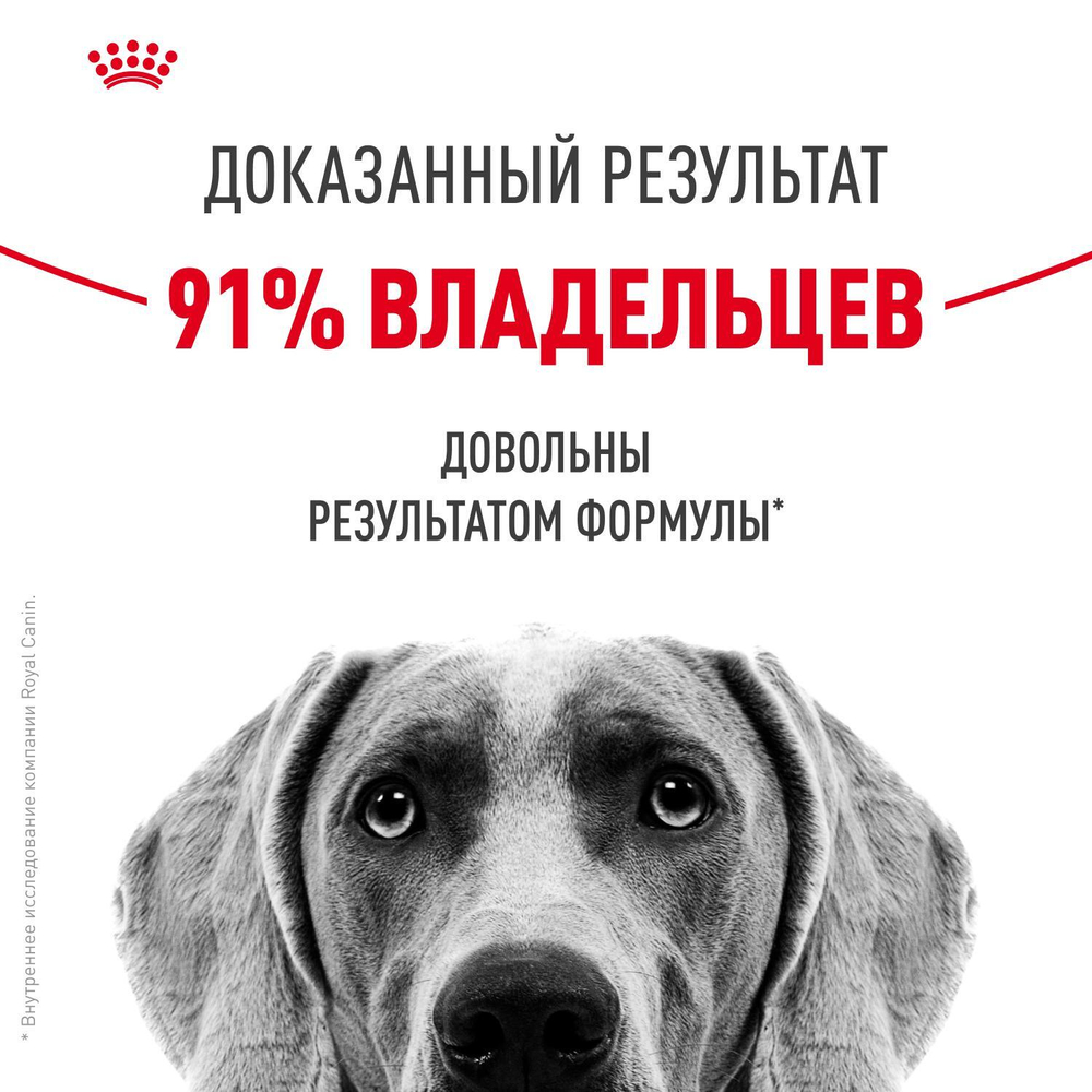 Royal Canin Medium Dermacomfort Медиум Дермакомфорт Корм сухой для взрослых собак средних размеров 10кг