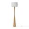 Торшер Freya Modern Swan FR5626FL-01T