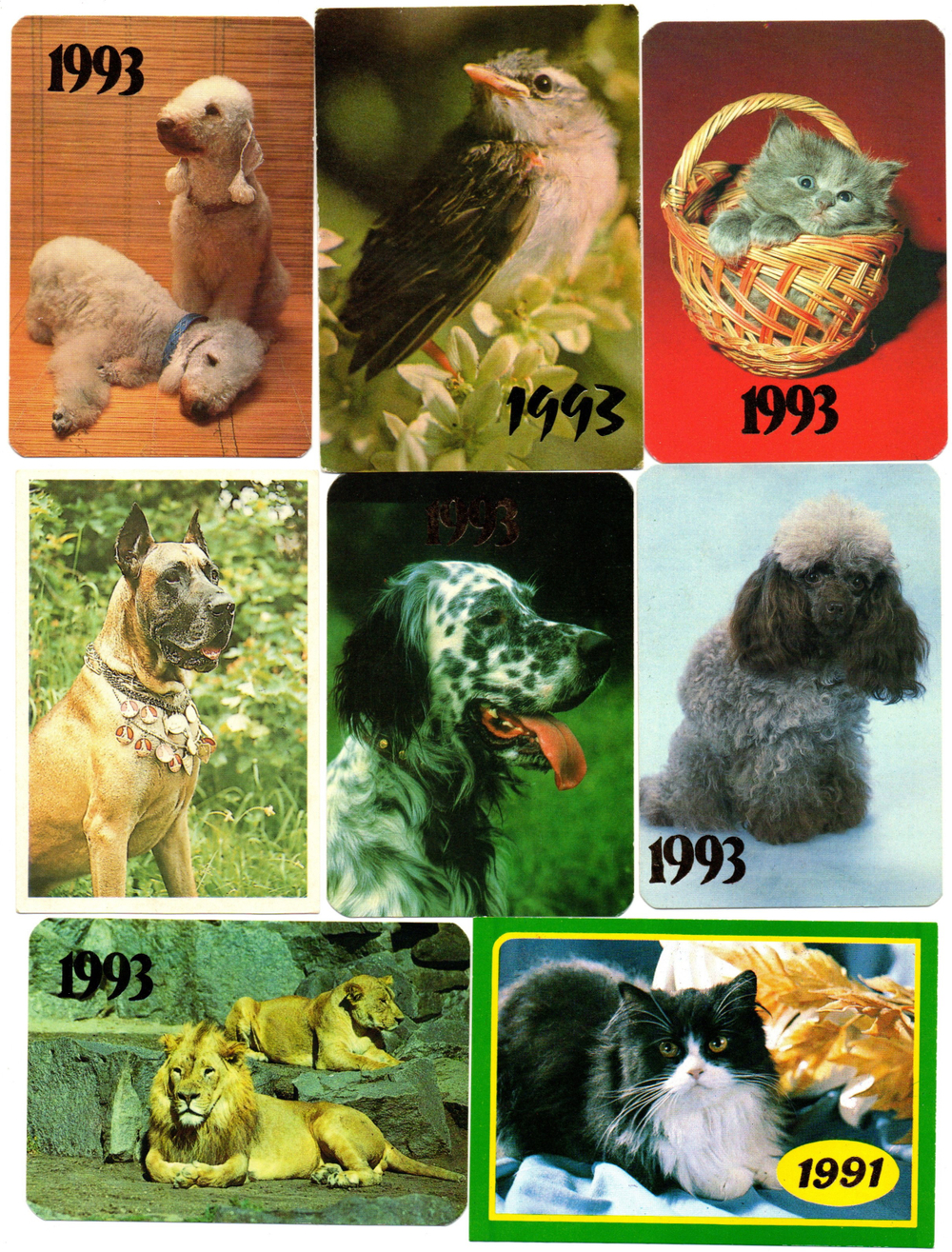 № 22 Набор Календариков 25 шт. Фауна, насекомые, животные и птицы 1985-1993 гг.