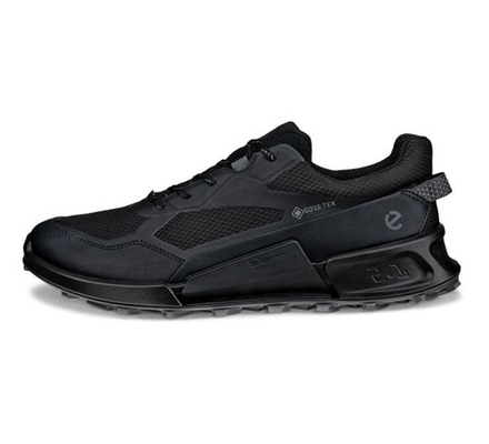 Кроссовки мужские ECCO BIOM 2.1 X MOUNTAIN M