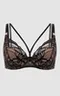 Бюстгальтер The Icon P-UP