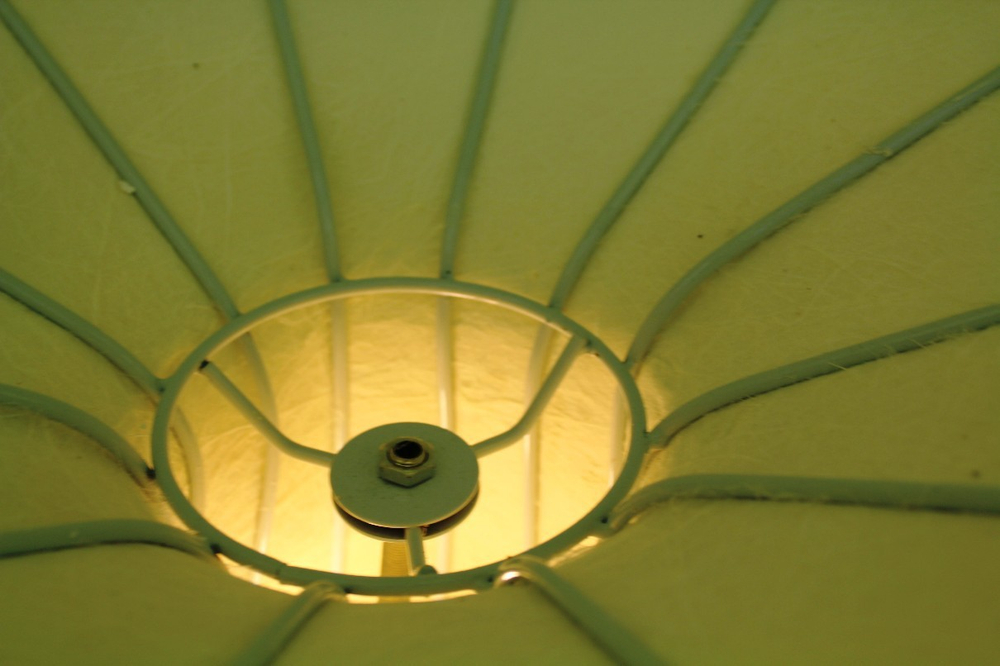 _morning_glory_lamp_delightful_su_23