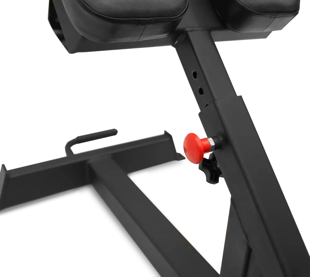 Гиперэкстензия BRONZE GYM PARTNER AL-317