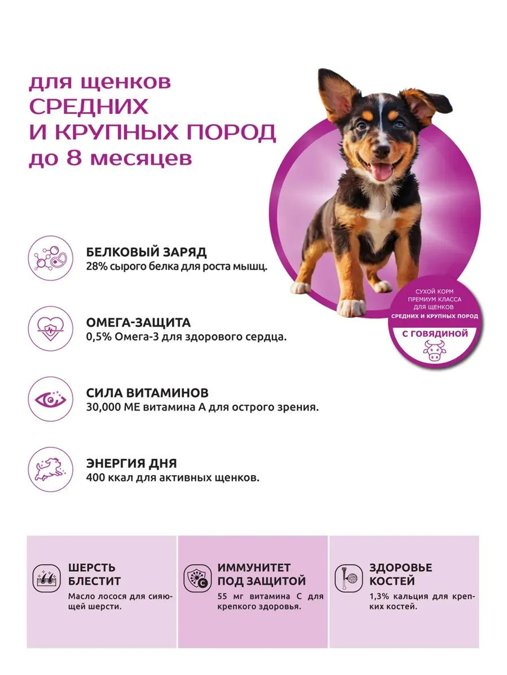 Корм сухой для щенков средних и крупных пород, с говядиной, 12 кг, QUATTRO