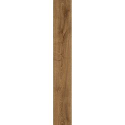 Moduleo Next Shelby Oak 853