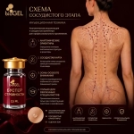 Бустер Стройности BioGel