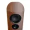 Canton Reference 5 Walnut Matt