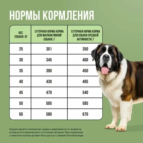 Сухой корм BOWL WOW для взрослых собак крупных пород с ягненком, индейкой, рисом и добавлением цукини