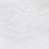 LCM Trend Line Cloud 80x80