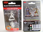 D&D Nolzur's Marvelous Miniatures - Male Elf Paladin
