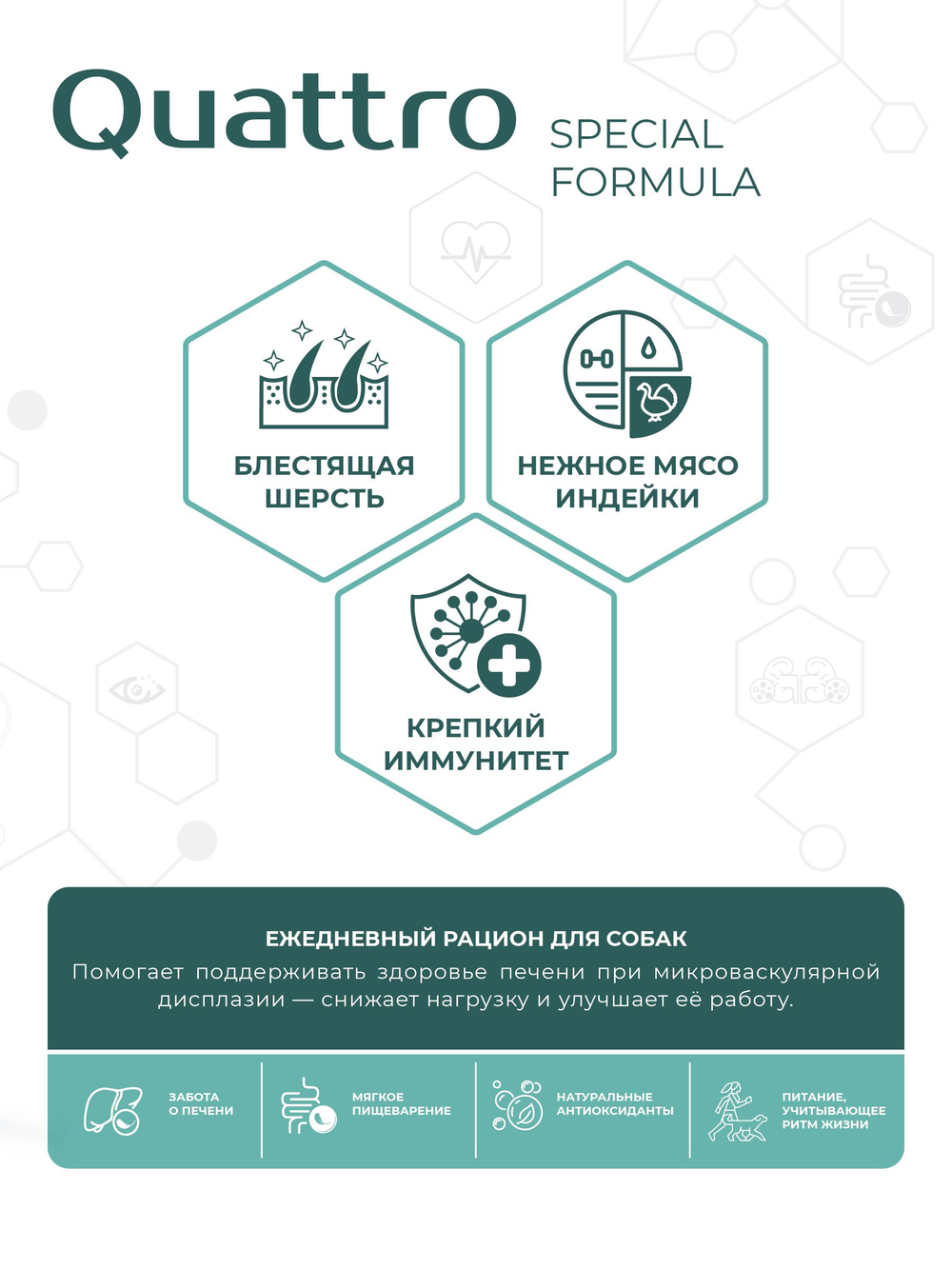 Корм для собак мелких пород SF Hepato Microbalance, (микроваскулярная дисплазия печени), 12 кг, QUATTRO