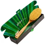 Gloys Cactus Plus щетка для сухого массажа Cactus 14x9  см