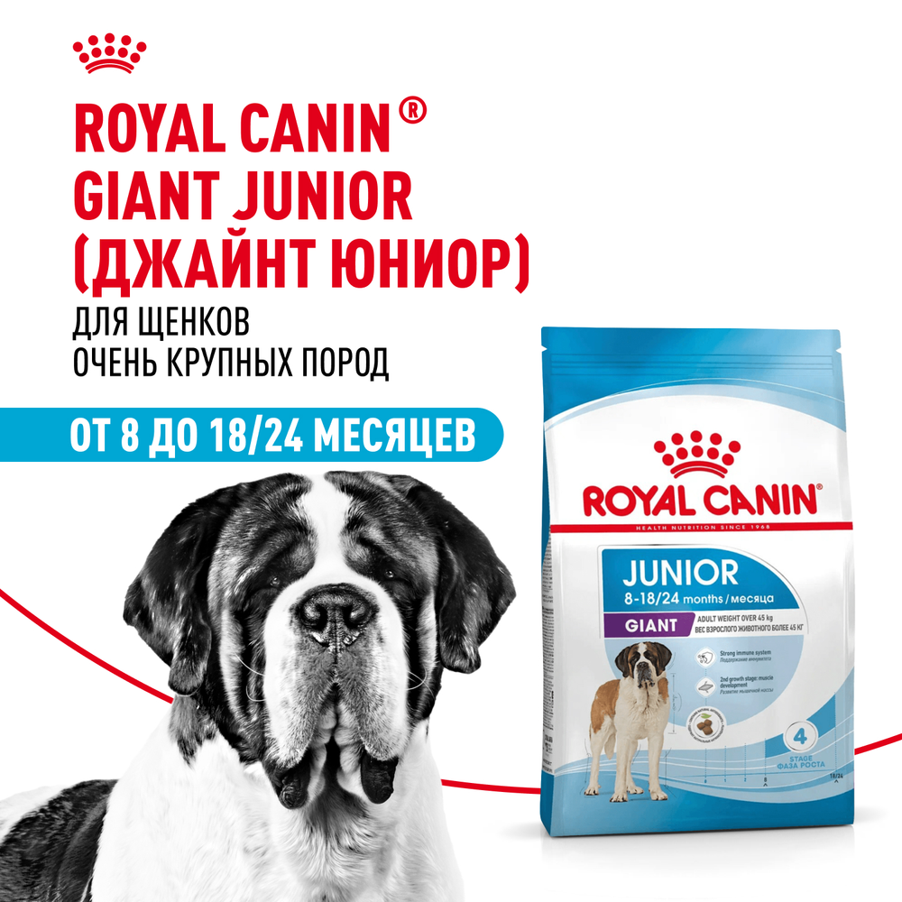 Royal Canin Giant Junior Джайнт Юниор Корм сухой для щенков очень крупных пород возраст от 8 до 18/24 месяцев 3,5кг
