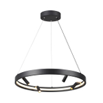 4317/58L ODL Светильник LED 70Вт 3000-6000К 220В IP20 HIGHTECH