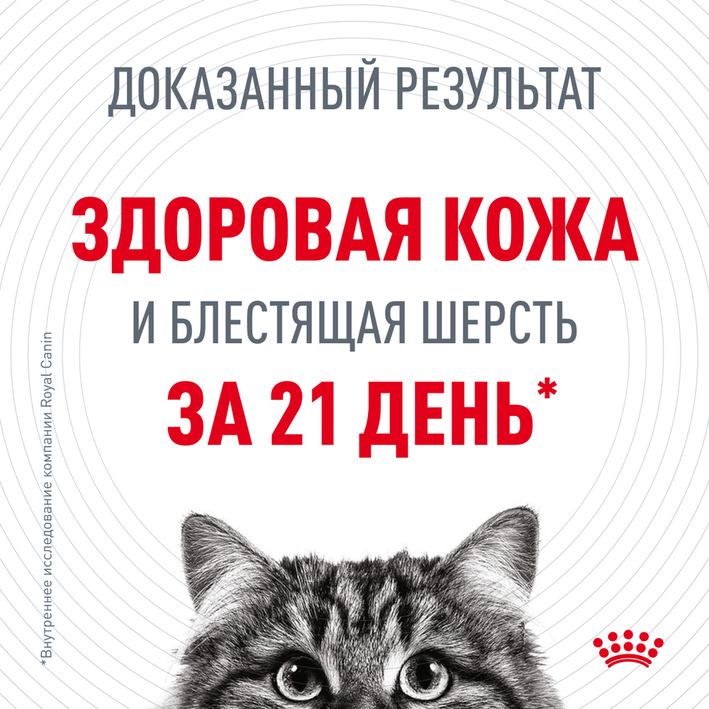 Сухой корм для кошек Royal Canin Hair & Skin Care (Роял Канин Хайбал энд скин кэа) для поддержания здоровья кожи и шерсти 400 г