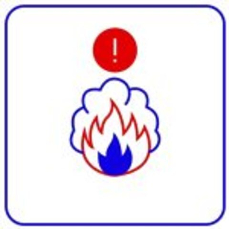 TRASSIR Fire & Smoke