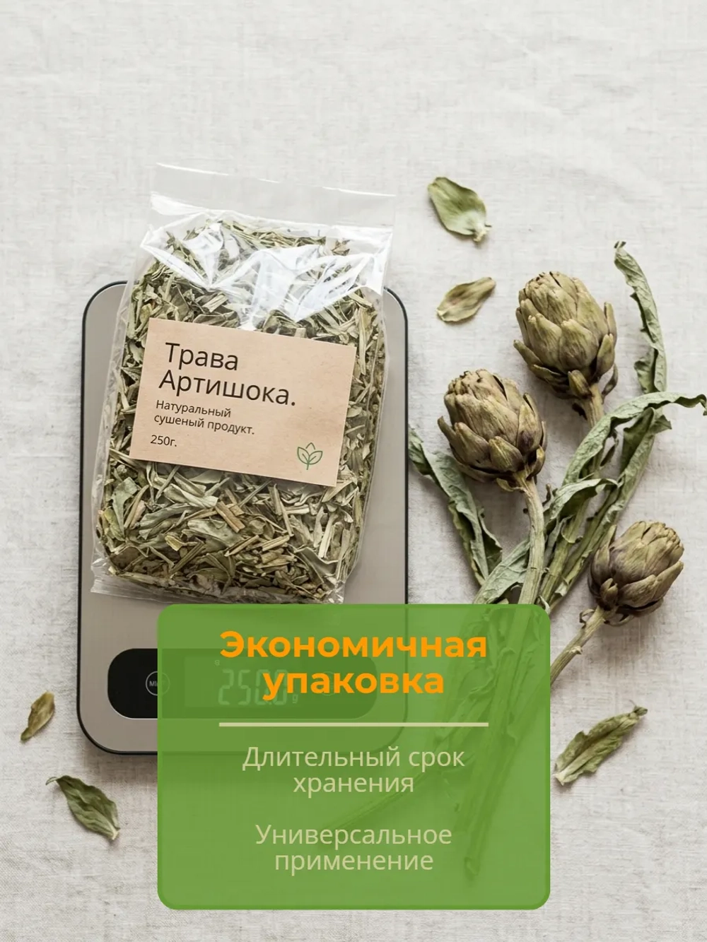 Артишок трава