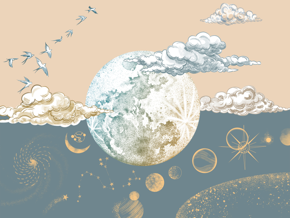 COSMOS 12