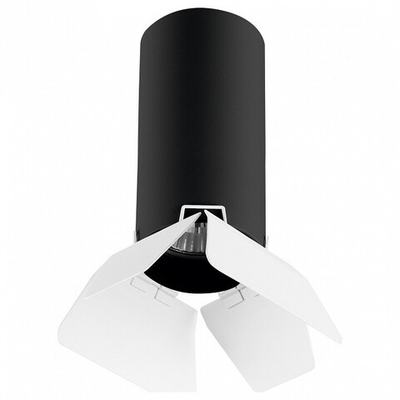Накладной светильник Lightstar Rullo R487436