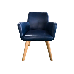 Полукресло Roomers Furniture c0097-1d/blue#b126