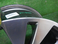 DSCN8090.JPG