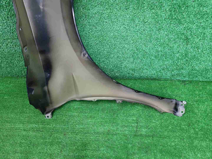 IMG_20260609_110324.JPG