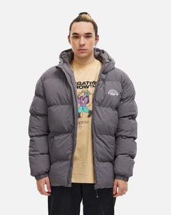 Куртка Anteater Downjacket-HoodedCrispy-Grey