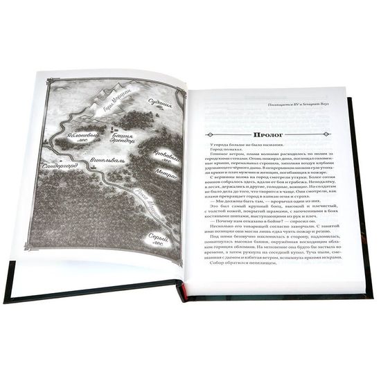 Книга Descent: Разорители Кровавого леса