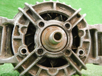 DSCN6313.JPG